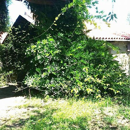 Hotel Quinta De Abol De Baixo Entre-os-Rios Esterno foto